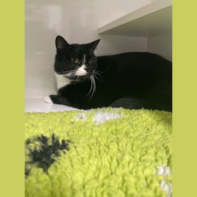 Photo of Susie
