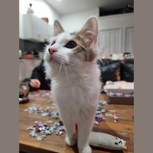 Photo of Marvin*Meet Me At Neko Hq Preston 3rd June*