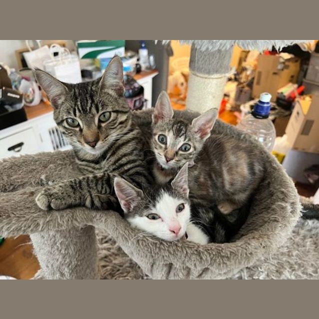 Photo of Ted And Barney