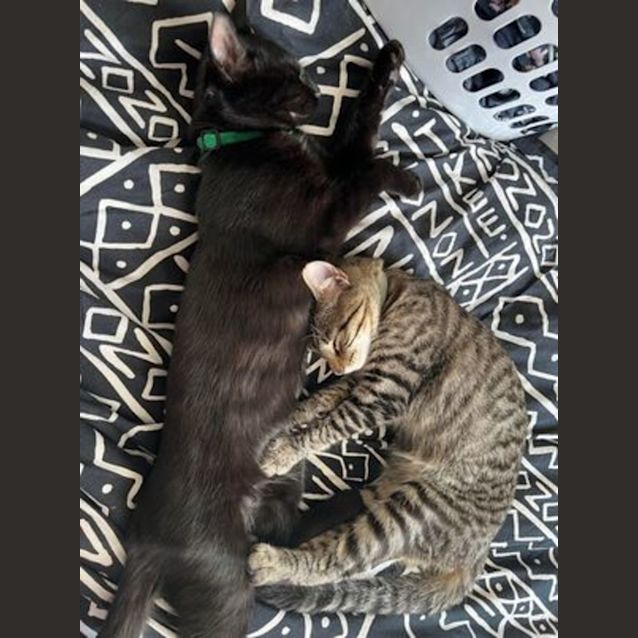 Photo of Ted And Barney