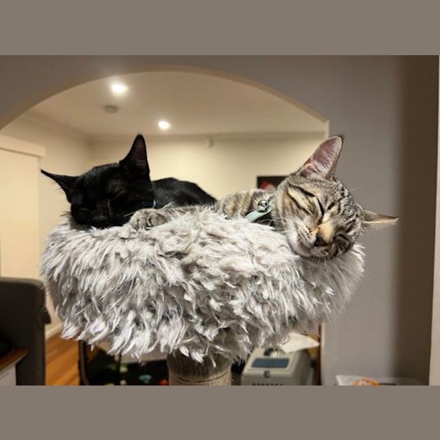 Photo of Ted And Barney