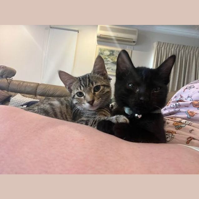 Photo of Ted And Barney