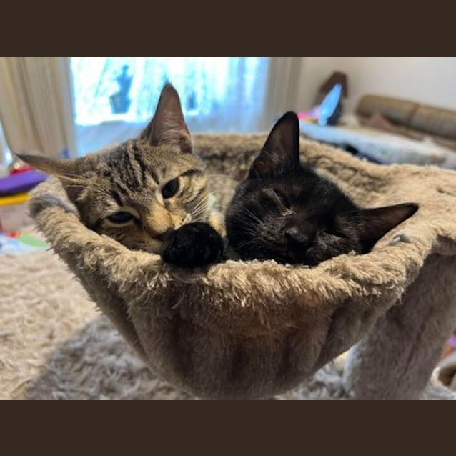 Photo of Ted And Barney