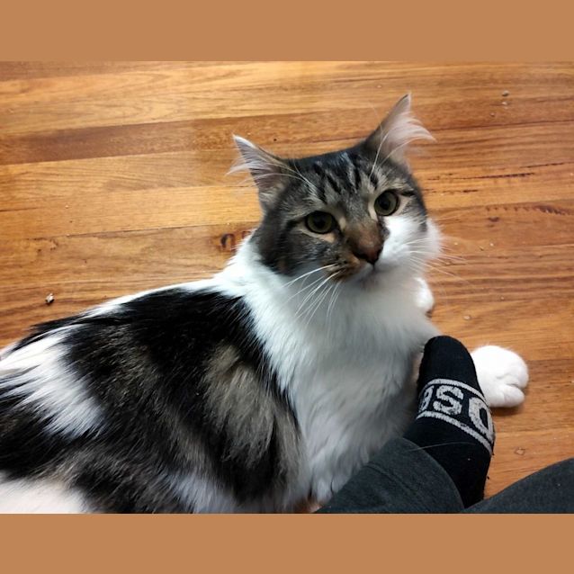 Photo of Boof Sua011051