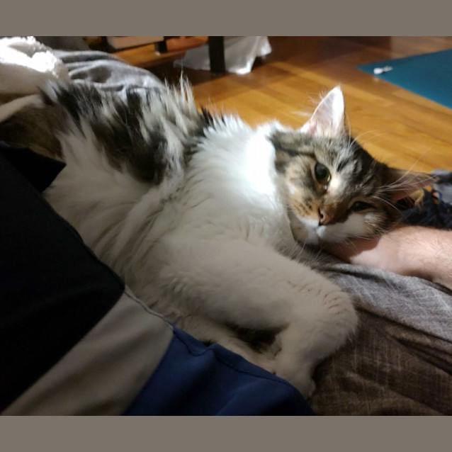 Photo of Boof Sua011051