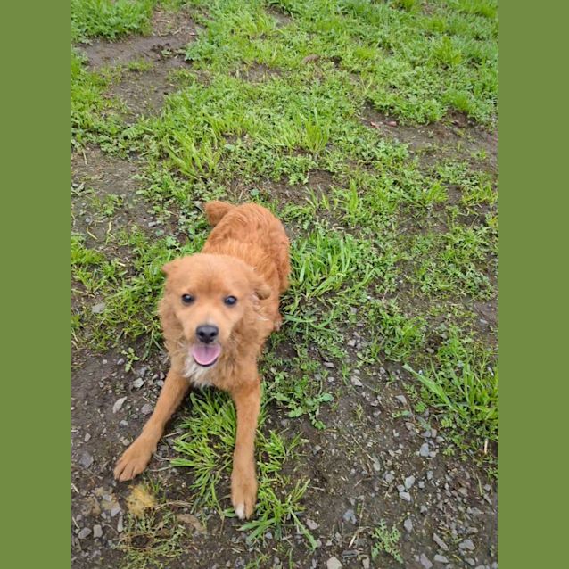 Photo of Ralphy