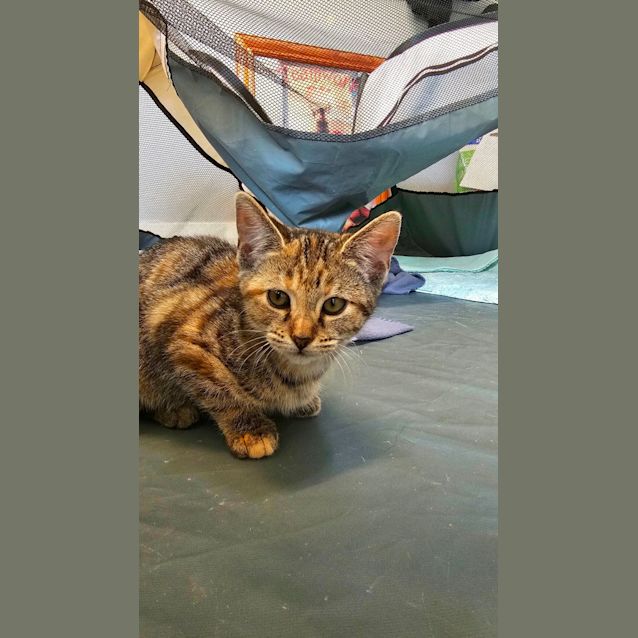 Photo of Bambi & George