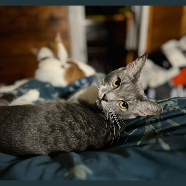 Photo of Storm