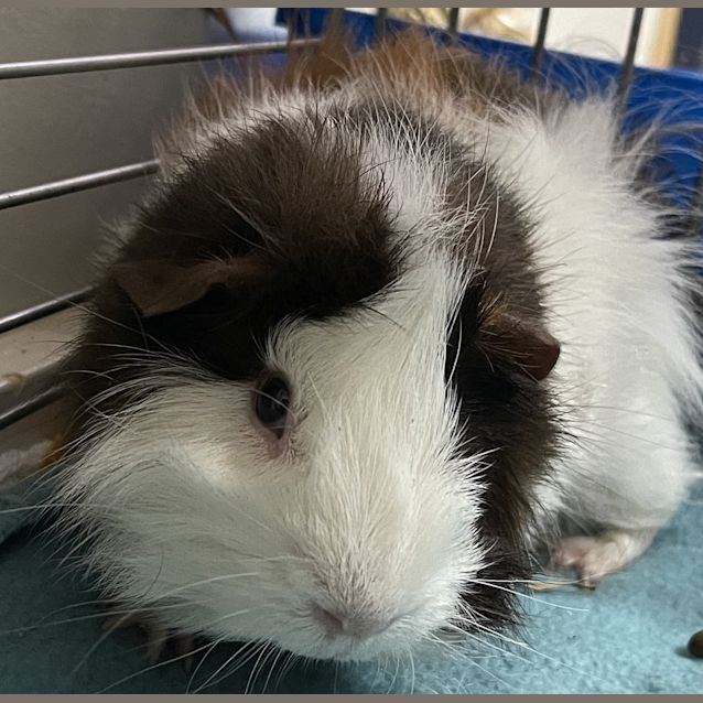 Photo of Leonard