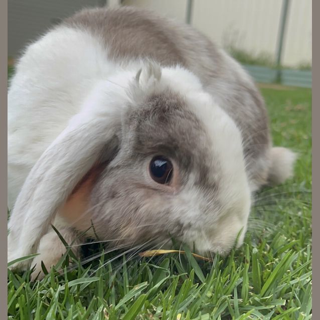 Photo of Miss Bun