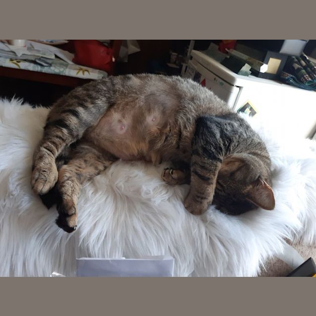 Photo of Angel