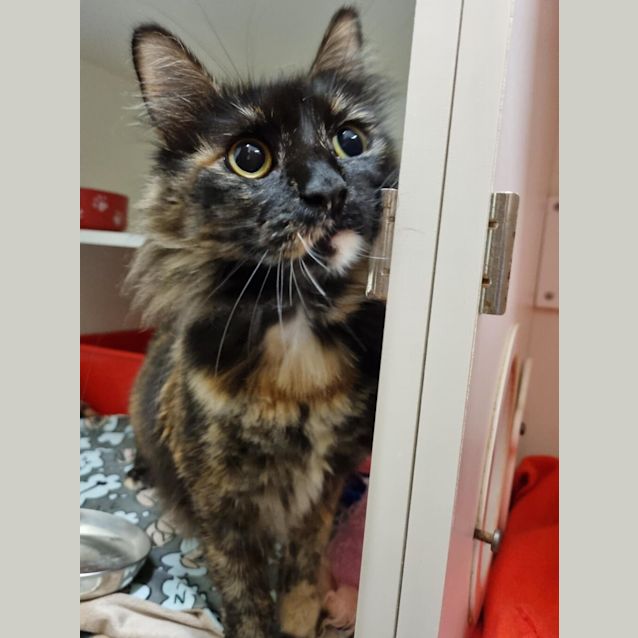 Photo of Mildred