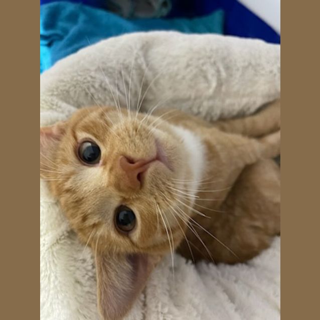 Photo of Fleur