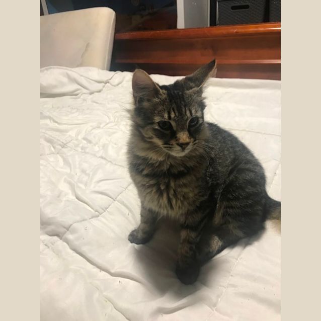 Photo of Little Love