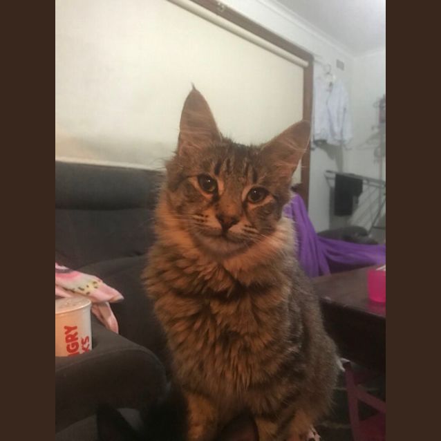 Photo of Little Love