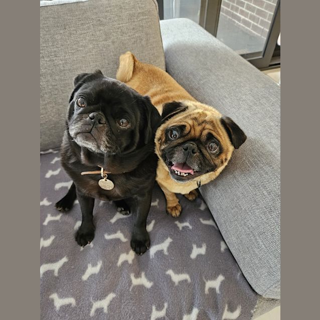 Photo of Mash (And Potato)
