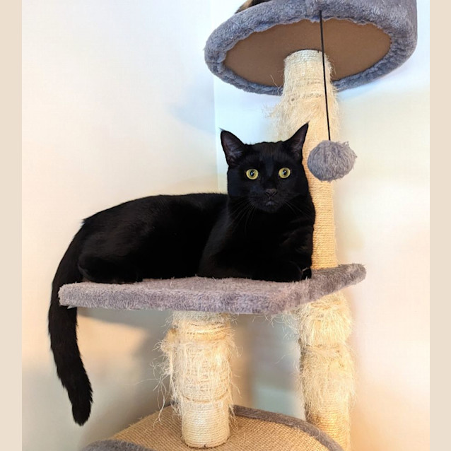 Photo of Harley