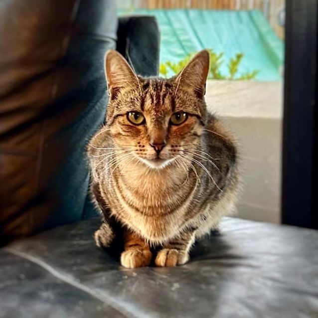 Photo of 7825   Major Tom