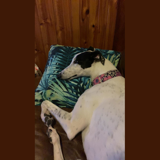 Photo of Queen Minnie 