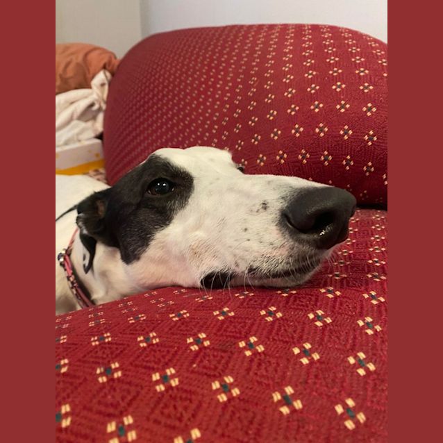 Photo of Queen Minnie 