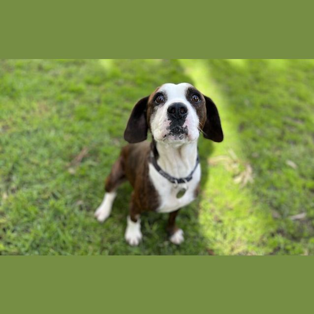 Photo of Moss