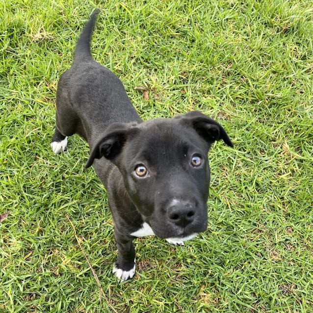 Photo of Wednesday