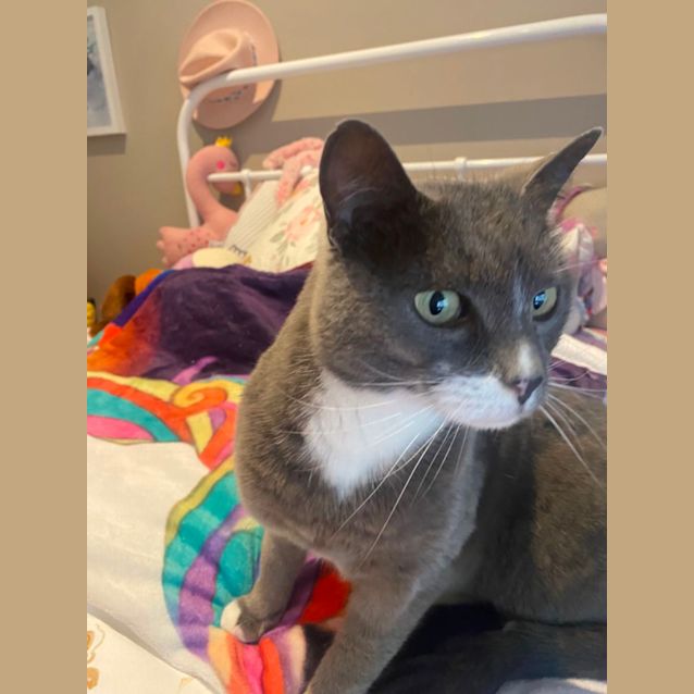 Photo of Posie
