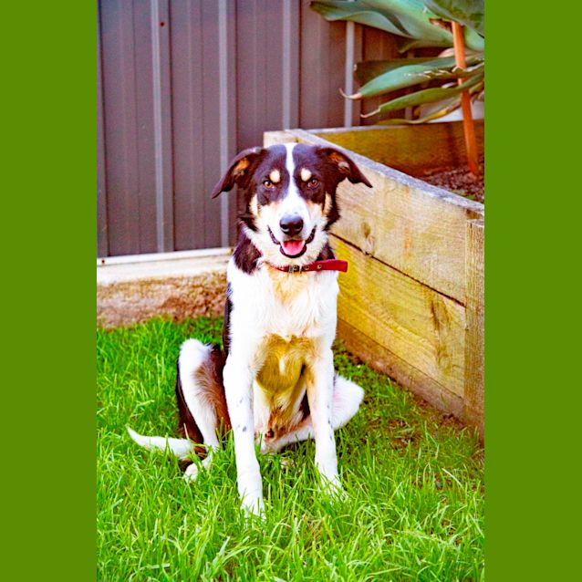 Photo of Max