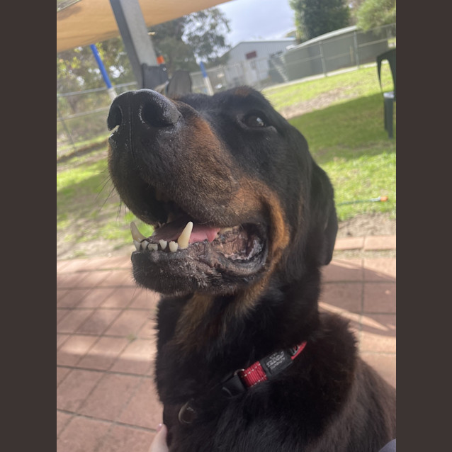 Photo of Am01 Arlo
