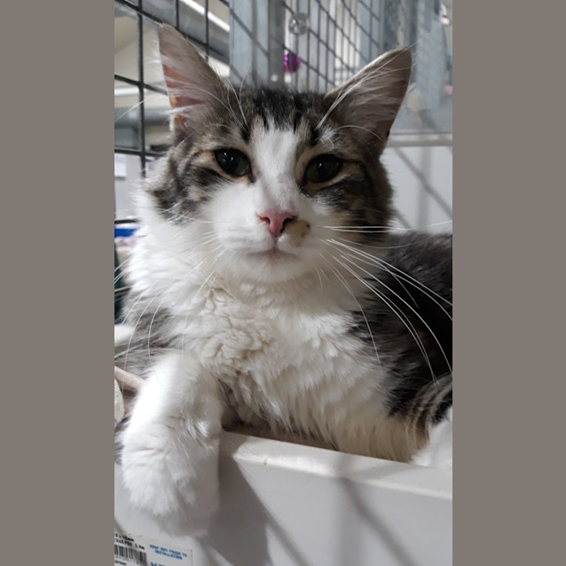 Photo of Archer