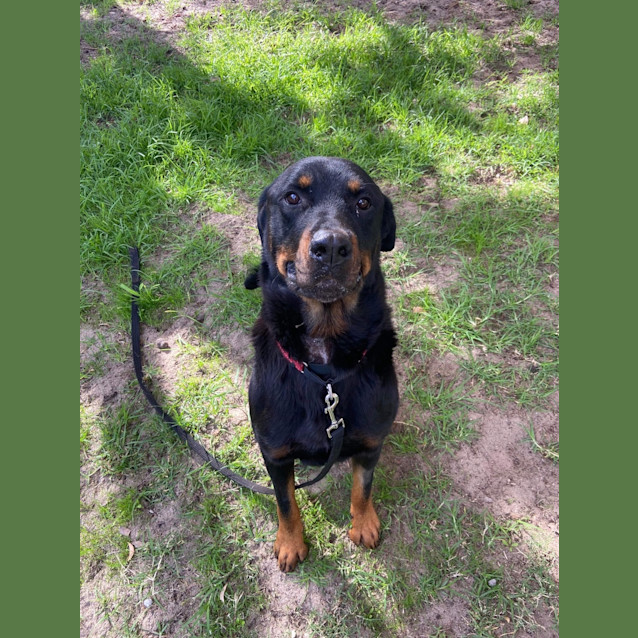 Photo of Am01 Arlo
