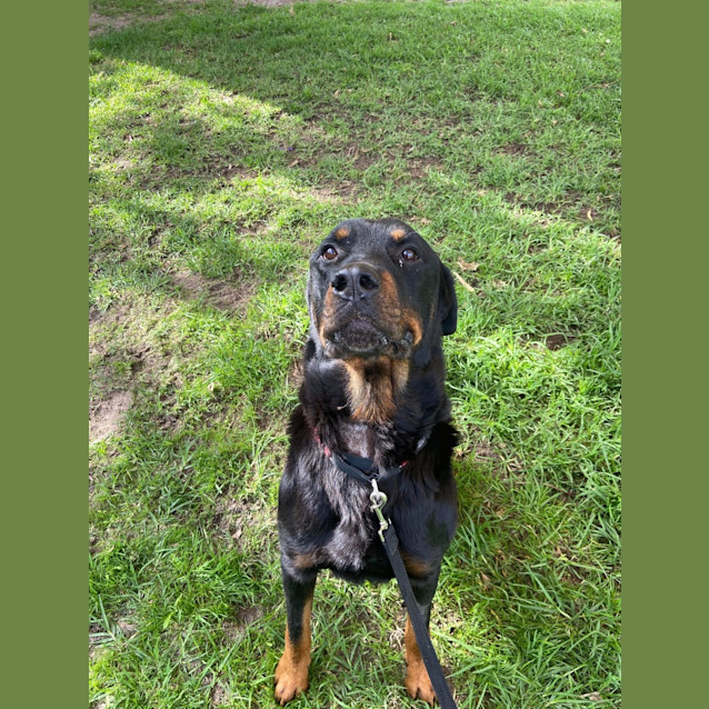 Photo of Am01 Arlo