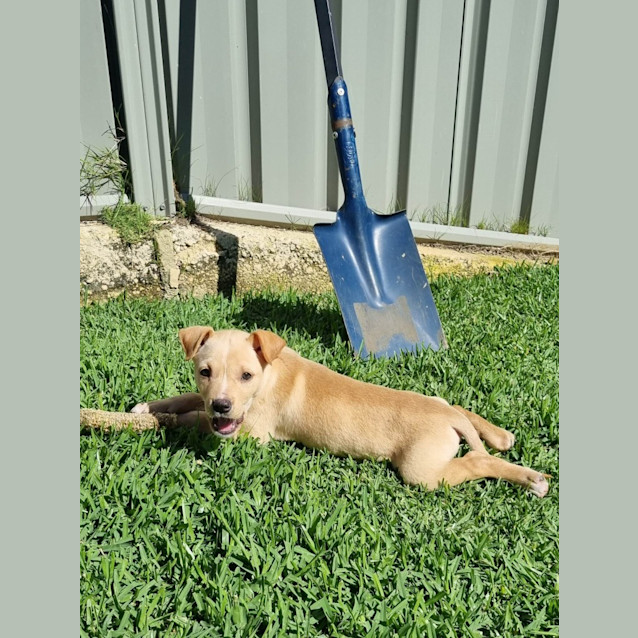 Photo of Little Jack