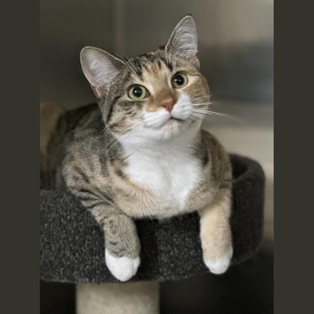 Photo of Matilda