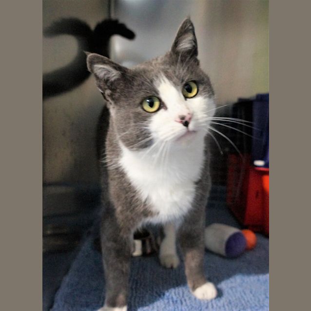 Photo of Pembleton