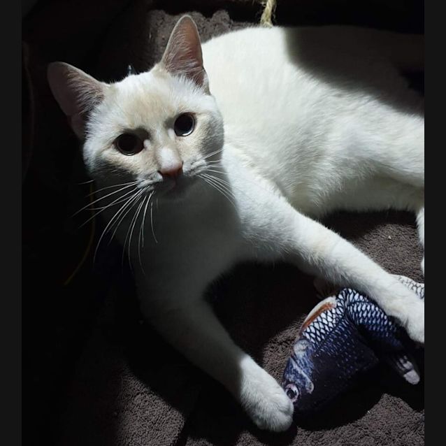 Photo of Roger