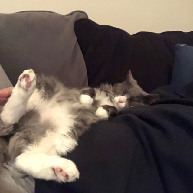 Photo of Sage   Located In Preston