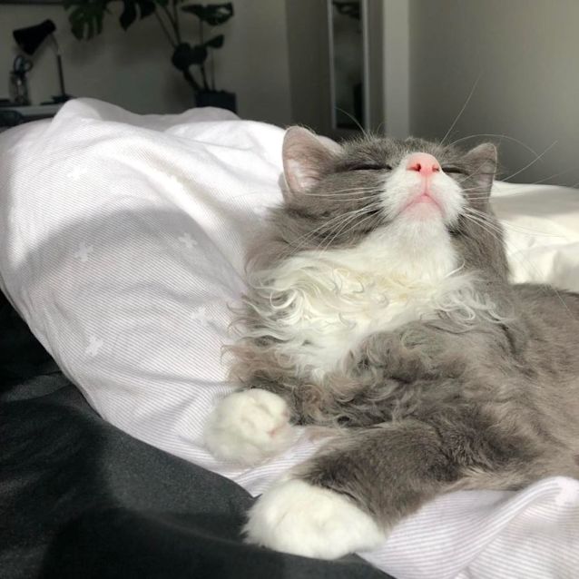 Photo of Sage   Located In Preston