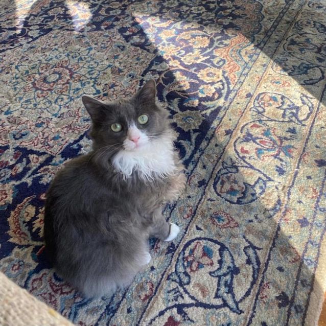 Photo of Sage   Located In Preston