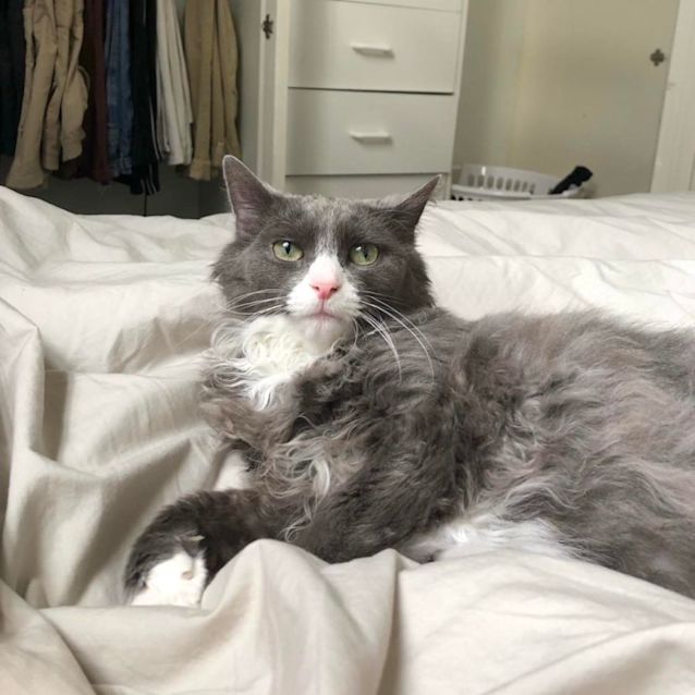 Photo of Sage   Located In Preston