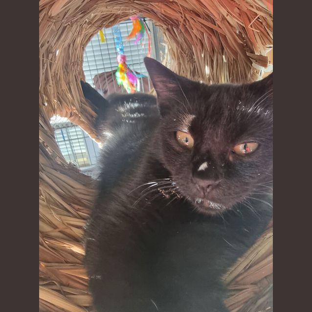 Photo of ❤️ Eclipse ❤️ 