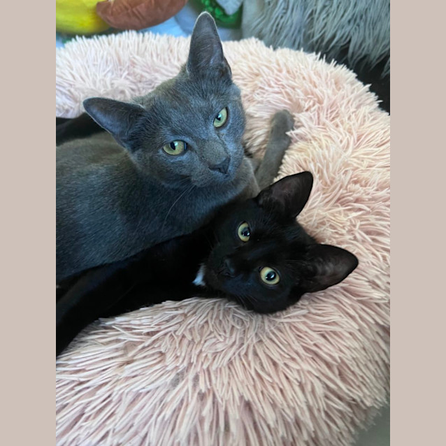 Photo of Myles And Mateo