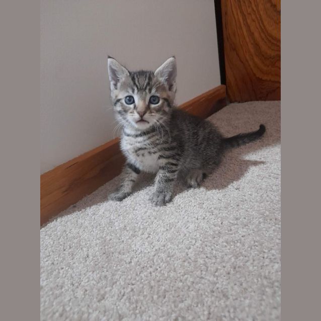 Photo of Loni (Turbo)