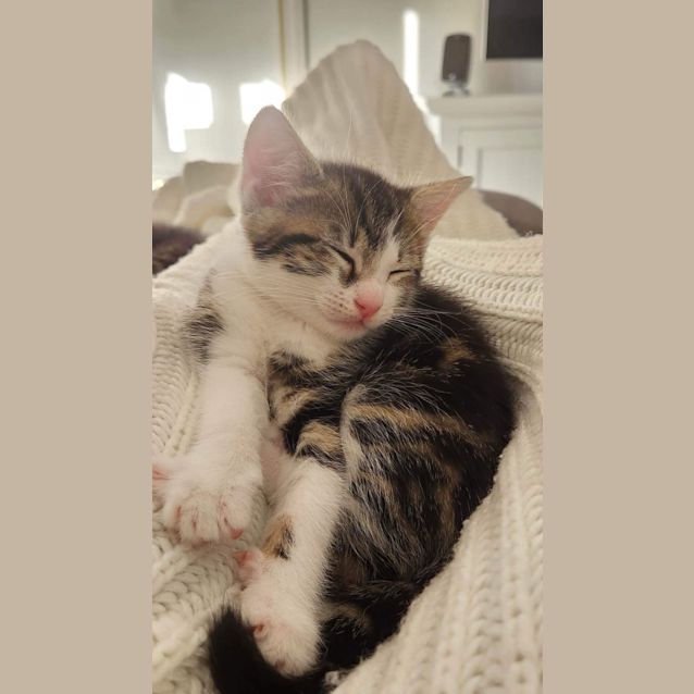 Photo of Lesli (Mittons)