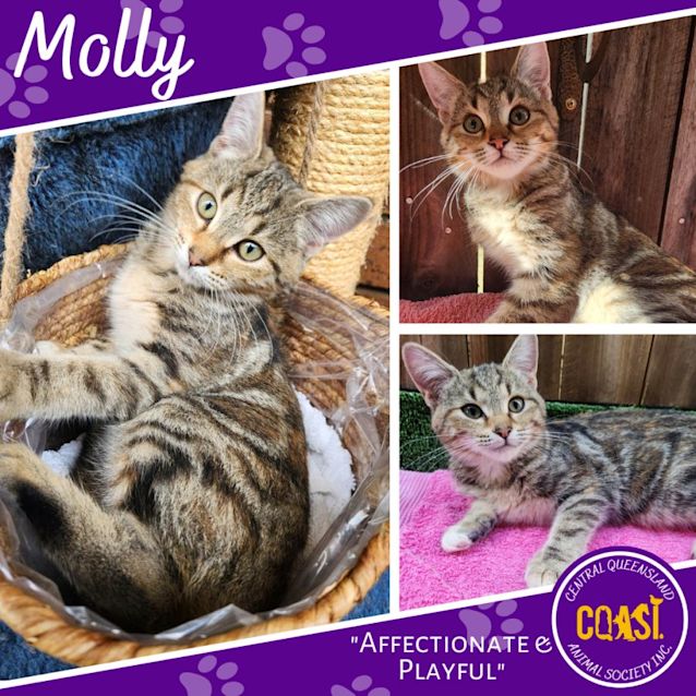 Photo of Molly