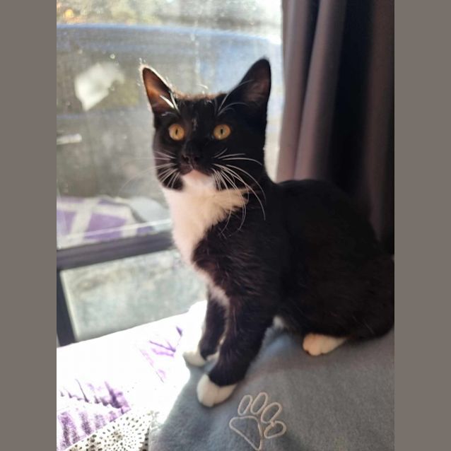 Photo of Bonnie & Clyde*Meet At Neko Hq Preston 3rd June*