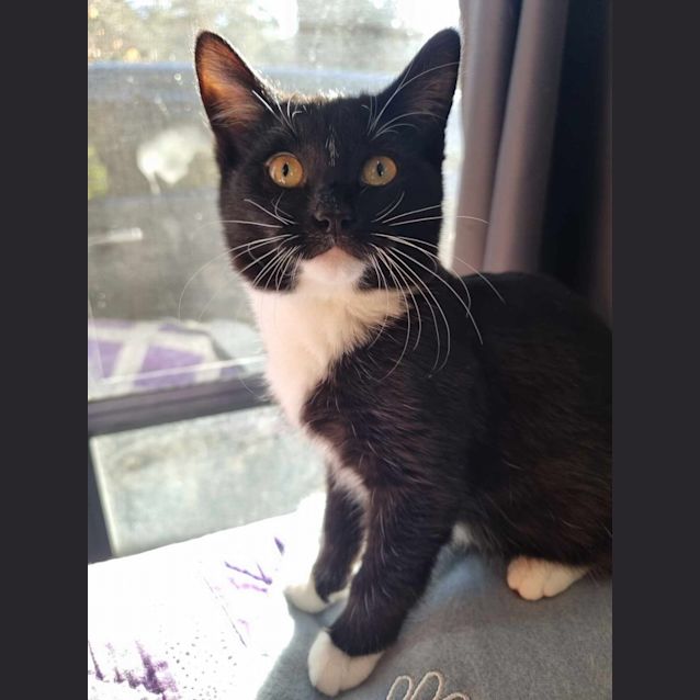 Photo of Bonnie & Clyde*Meet At Neko Hq Preston 3rd June*