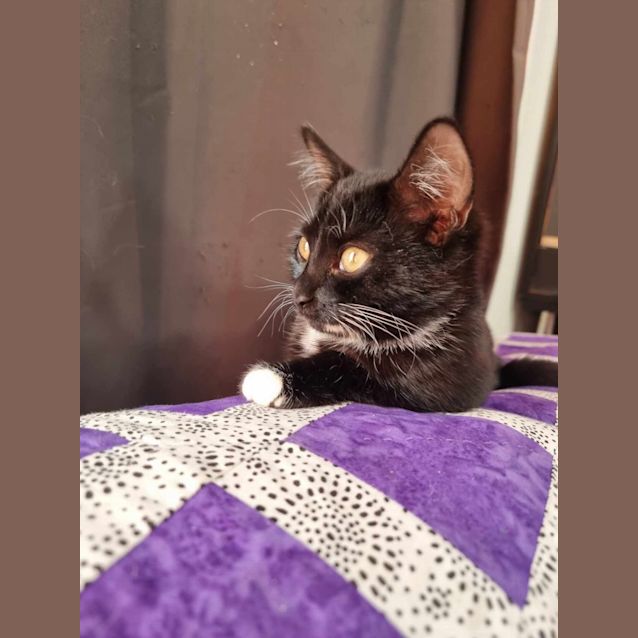 Photo of Bonnie & Clyde*Meet At Neko Hq Preston 3rd June*