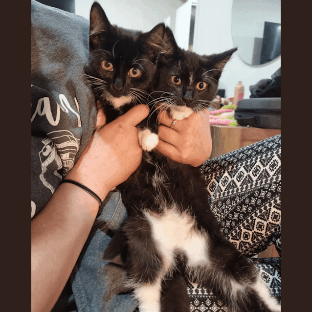 Photo of Bonnie & Clyde*Meet At Neko Hq Preston 3rd June*