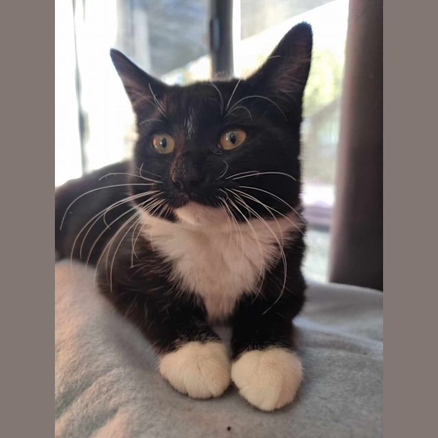 Photo of Bonnie & Clyde*Meet At Neko Hq Preston 3rd June*